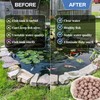 Sukh Ceramic Bio Balls - Fish Tank Sphere Filter Media