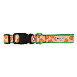 THE WORTHY DOG Adjustable Dog Collar for Large Dogs, Durable Nylon Webbing, Quick Release Buckle, Peachy Keen Pattern, Peach, Large