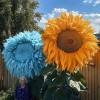 ZEshops 50pcs Blue and Yellow Enchanting Giant Teddy Bear Sunflower