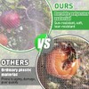 6 Pack Bird Netting for Garden Protection - 3.3x5FT Size