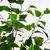 Nearly Natural 5ft. Artificial Birch Tree with Real Touch Leaves