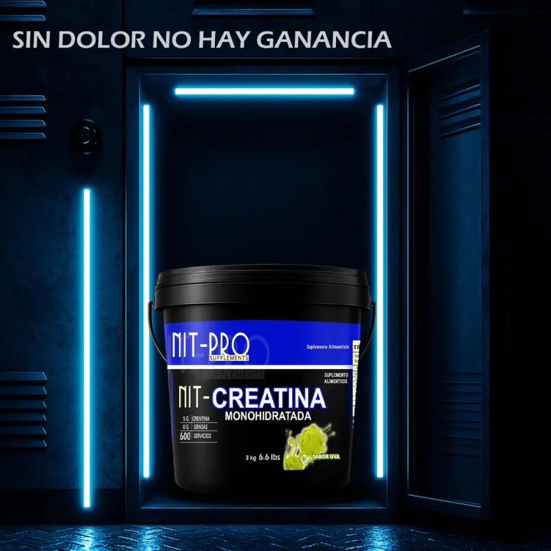 Creatina Monohidratada Alta Pureza Polvo Nit-pro 3kg 600ser