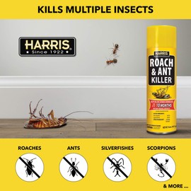 Harris 10-Month Roach & Ant Killer, Odorless & Non-Staining Aerosol Spray, 16oz