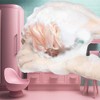 Esponja Lufa Exfoliante Baño Paquete Individual Rosa Unidad Azul Oscuro
