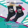 Tiny Captain Boy Dinosaur Socks - 4 Year Old Boys