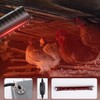 Winter Chicken Coop Heater,Waterproof Heating Lamp for Chicks Ducks Pets