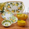 Certified International Lemon Zest 2 pc Melamine Platter Serving Set,