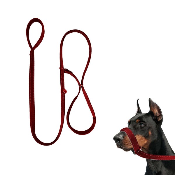 Figure of 8 Dog Lead, Red Anti-Pull Dog Lead, Durable