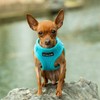 Mr. Peanut's PupTrek Small Dog/Cat Soft Mesh Step in Harness