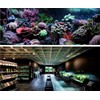 For Automatic Fish Feeder Dispenser for Aquarium: Large Capacity Auto