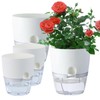 DHSUN Herb Pot Kitchen Set, automatic watering, 4-piece set, large