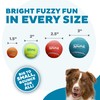 Outward Hound Squeaker Ballz Fetch Dog Toy, Small- 4 Pack