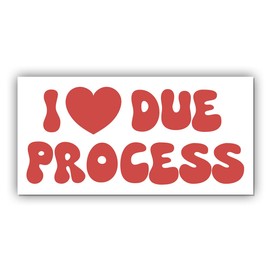 Magnet Sticker I Love Due Process Magnetic Protect Immigrants, Deport Fascists Social Justice Human Rights Red Magnet for Bumper, Refrigerator, Cruise Door, Car, Truck 7.5x3.75in