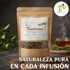 Xenatural - Té TLANCHALAHUA - Infusion Natural Herbal - Excelente