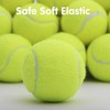 MEKAPLE Mini Tennis Ball 12 Pack for Pet Playing Fecth,