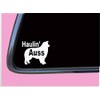 Haulin Auss TP 621 Sticker 6" Decal australian shepherd aussie