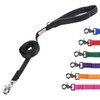 GoGo Pet Products 3/4-Inch Wide Comfy Nylon Dog Leash, 4-Feet