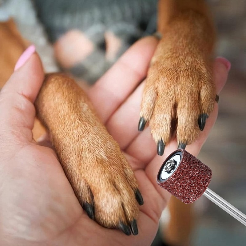 Lija para amoladora de uñas de perros LXUEJIE 42 piezas