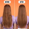 Noughty Back To Balance Oil Controlling Shampoo 250ml