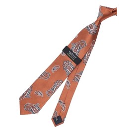 Takakyu Modern Vintage Necktie, Regular Tie, 3.1 inches (8.0 cm) Wide, Orange Other, orange