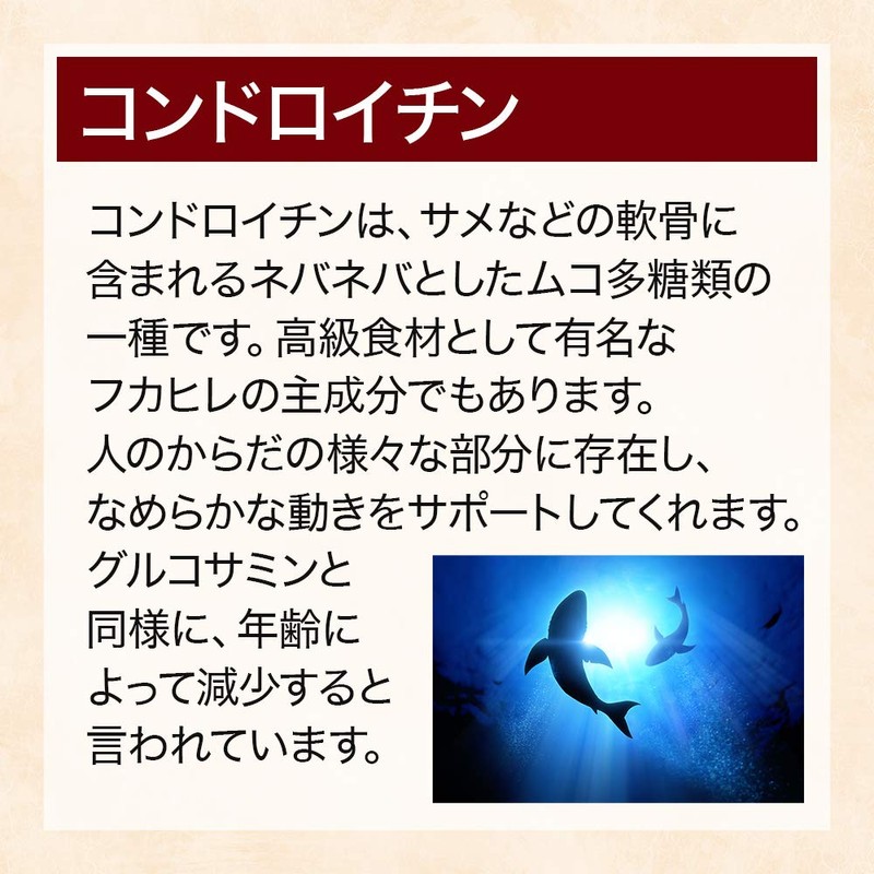 【リプサ公式】 グルコサミン＋コンドロイチン 約3か月分 C-221 ヒアルロン酸 サプリメント