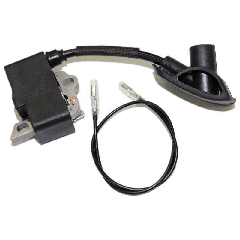Arpisziv Ignition Coil Compatible With Sthil BR700 BR600 BR500 Backpack