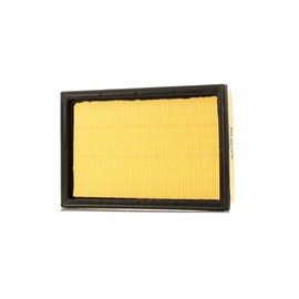 Ashika 20-08-832 Air Filter