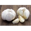 Fresh organic elephant garlic bulbs 2 pounds