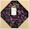 SG Wonder Zone 660-017 Blueberry Wreath, 9.4 inches (24 cm),