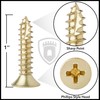 Cauldham Bright Brass Wood Screws #9 x 1 Inch for