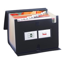 Pentel DCD24A 13 Pocket Recycology Expanding Document File Organiser - Black