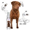 The Blissful Dog All Natural Chesapeake Bay Retriever Relax Dog