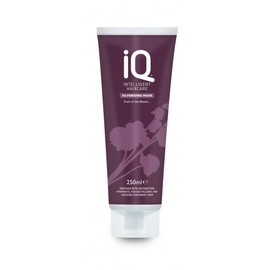IQ Intelligent Haircare Silverising Mask 250ml