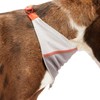 Reddy Grey Cooling Dog Bandana, X-Small/Small