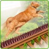 De-bird Cat Bird Repellent Spikes Outdoor Fence Security Plastic Deterrent