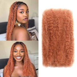 Afro Kinky-Curly Human Hair Bulk Dreadlock Extensions Marley Twist Hair Human Hair Extensions Human Braiding Hair Extensions Afro Kinkyhair for Braiding (#30, 16 Inch（Pack of 1))