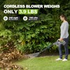Leaf Blower,21V Leaf Blower Cordless with Battery and Charger 106