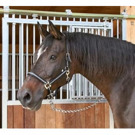 Kerbl Unisex's Mustang Head Collar-Black/Silver, Size 1