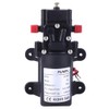 ViaGasaFamido Water Pressure Diaphragm Pump, DC 24V 70W 6L/Min Double