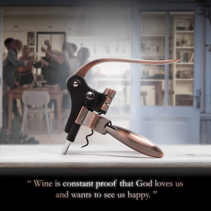Wine Bottle Opener Corkscrew Set – Luxiluxy [2024 upgraded, does