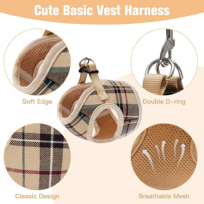 PUPTECK Soft Mesh Small Dog Harness with Leash - Basic