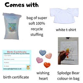 Magic Rainbow Teddy Bear - Soft Plush Toy - 25cm - Build Your Own Teddy Bear - Party Set (25cm Kit with T-Shirt)