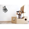 3D Cat Closestool Stickers, Toilet Seat Decal, Removable Wall Decal