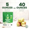Jungle Powders Organic Apple Powder 5 Ounce Bag Apple Extract