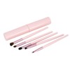 Lucky Interests Eyeshadow Brushes Set, 5Pcs Eyebrow Concealer Detail Eyeliner/Lip