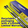 Tuff Support 2 Pcs (Sets) LGP6-200-60 Universal Lift Supports Gas