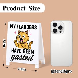 GoldenFleece My Flabbers Have Been Gasted Funny Team Office Gifts Funny Office Decor Desk Sign Gag Fun Gift for Coworker Employee Boss Humorous Desk Sign Cubicle Decor for Birthday White Elephant Gift