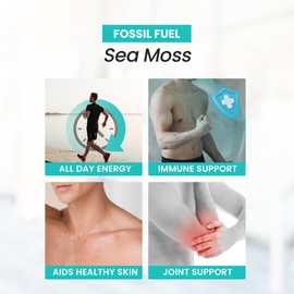 Fossil Fuel Sea Moss Capsules (60 Capsules) - Organic Superfood for Energy, Digestive Health, Immune Support, and Inflammation Relief - Packed with Essential Nutrients and Minerals
