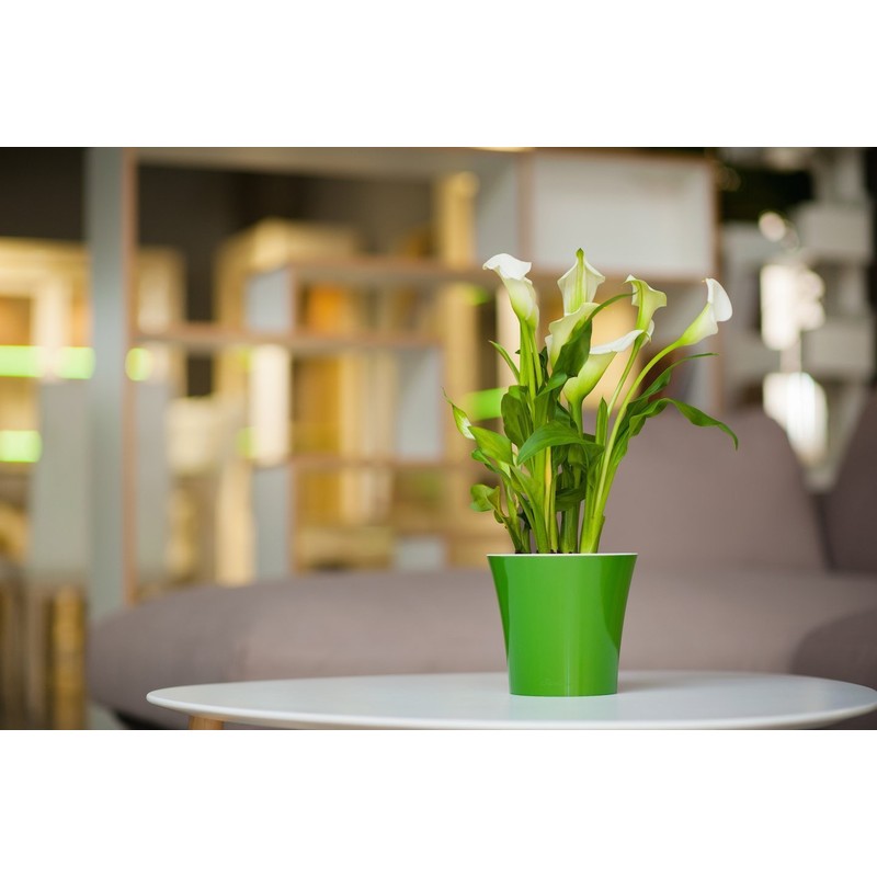 Santino Self Watering Planter Arte 4.3 Inch White/Black Indoor Flower