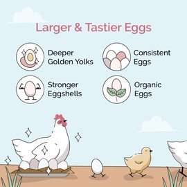 Mile Four Chick Grit for Baby Chicks - Chickens Age 0-8 Weeks, 100% Natural Mineral Chick Grit Quartzite, Poultry Grit Digestive Aid, USA Mined, 4 lbs